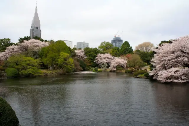 Shinjukugyoen