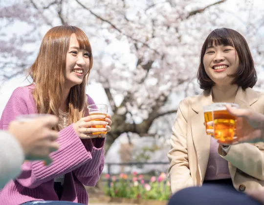 a group having drinks and enjoying hanami