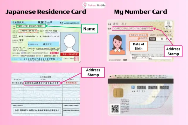Infographic comparing Japanese Residence and My Number cards, highlighting key personal data fields.
