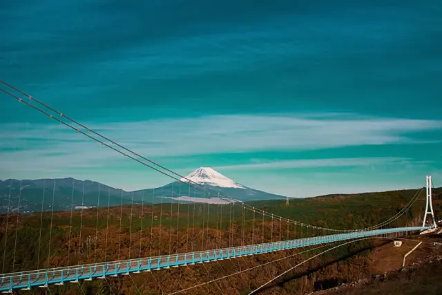 The Mishima Skywalk suspension bridge spanning a dense forest with Mt. Fuji in the background