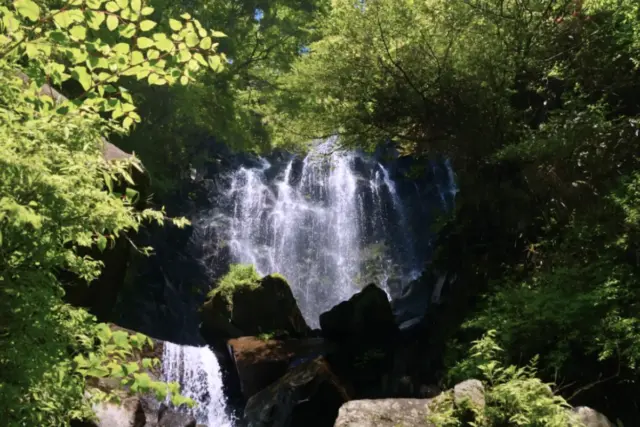 mystical water fall surrounded by lush greenery