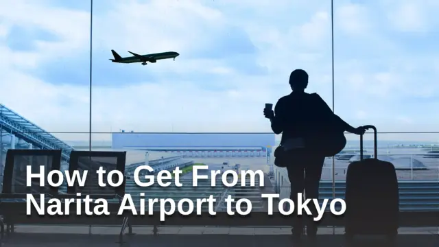 How to Get from Narita Airport to Tokyo: Options Compared