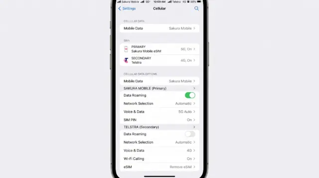 An iPhone cellular settings screen showing both a Sakura Mobile eSIM and a Telstra physical SIM installed.